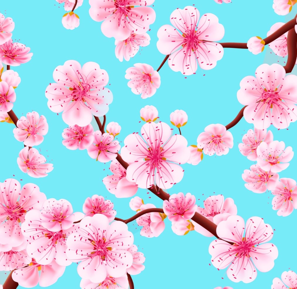 Cherry Blossom Scrub
